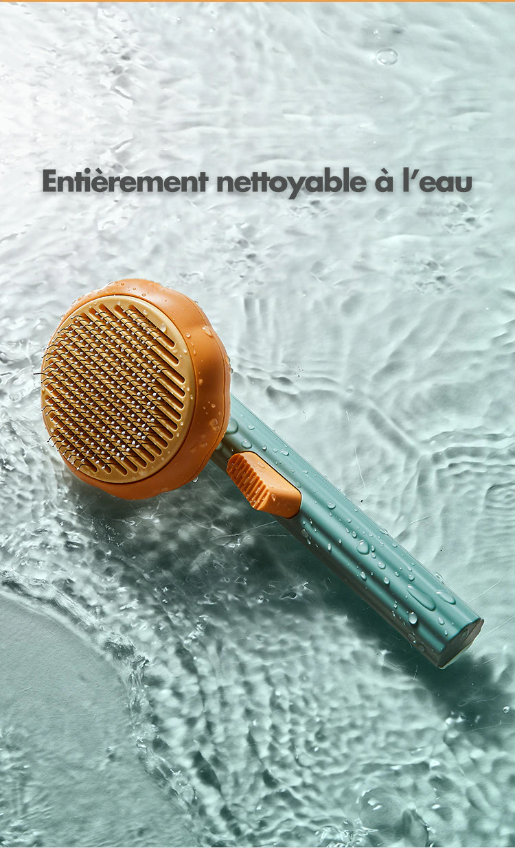 La Brosse Pumpkin©