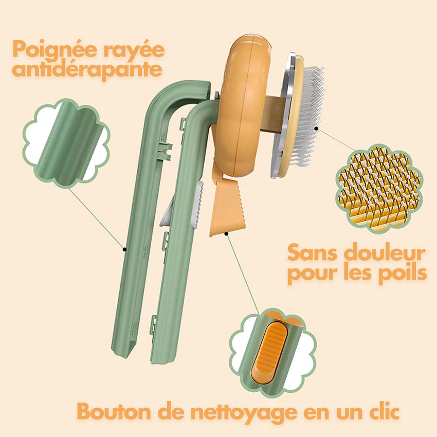 La Brosse Pumpkin©